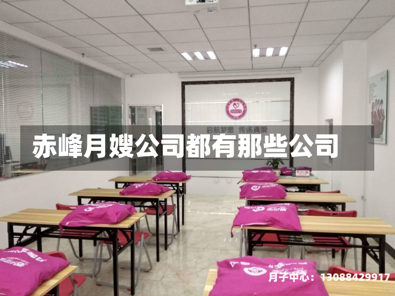赤峰月嫂公司都有那些公司