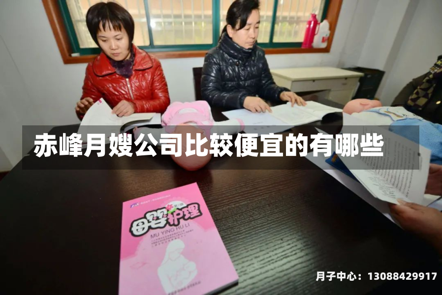赤峰月嫂公司比较便宜的有哪些