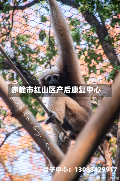 赤峰市红山区产后康复中心