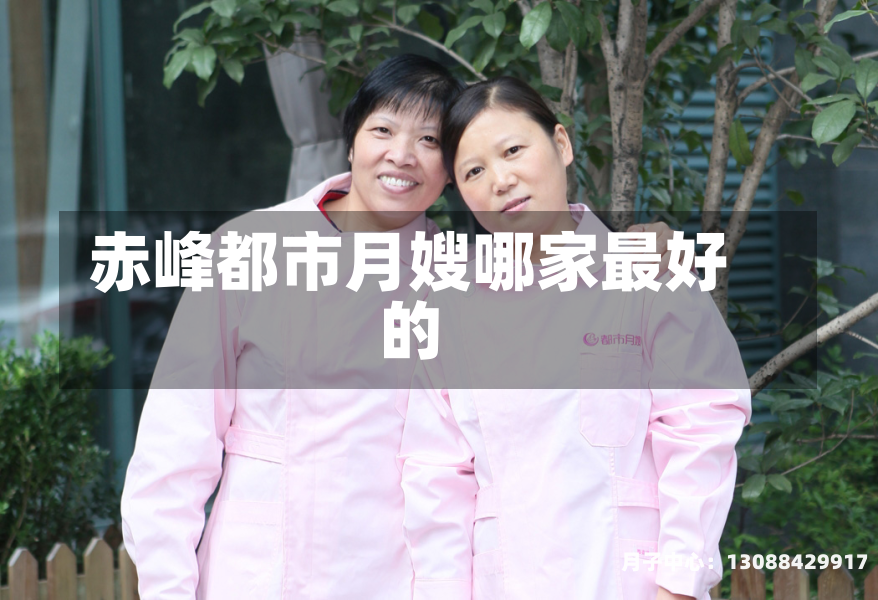 赤峰都市月嫂哪家最好的