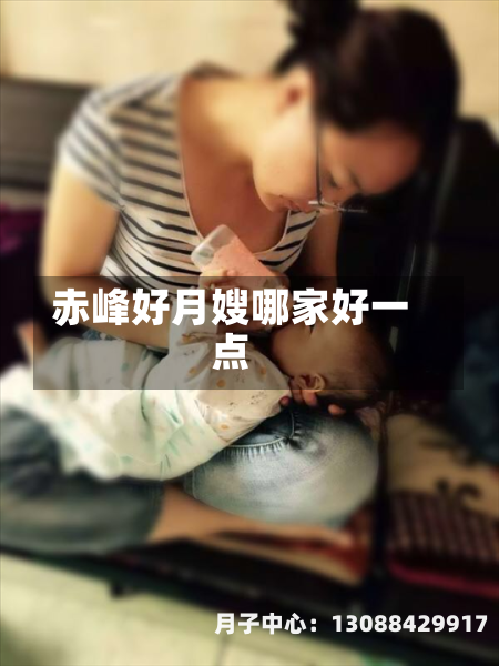赤峰好月嫂哪家好一点