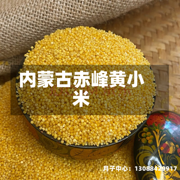 内蒙古赤峰黄小米