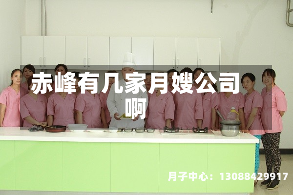 赤峰有几家月嫂公司啊