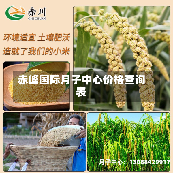 赤峰国际月子中心价格查询表