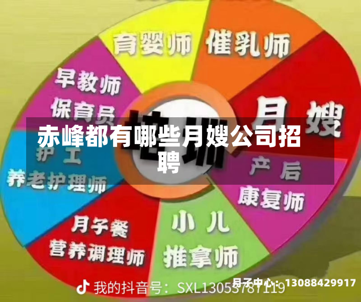 赤峰都有哪些月嫂公司招聘