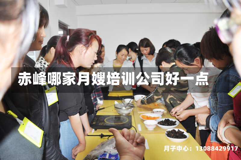 赤峰哪家月嫂培训公司好一点