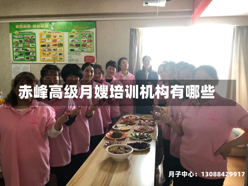 赤峰高级月嫂培训机构有哪些
