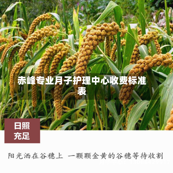 赤峰专业月子护理中心收费标准表