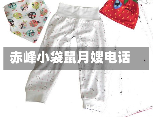 赤峰小袋鼠月嫂电话