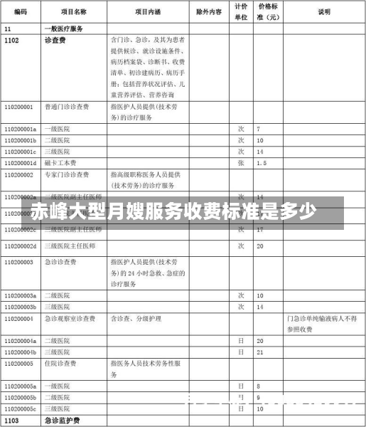 赤峰大型月嫂服务收费标准是多少