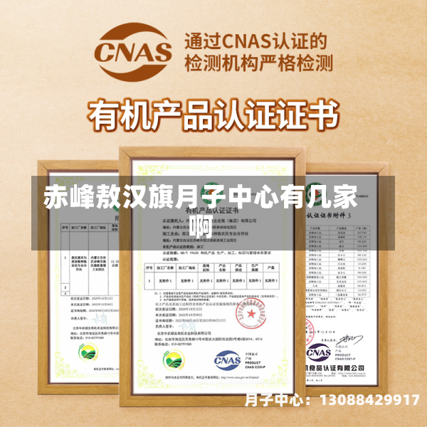 赤峰敖汉旗月子中心有几家啊