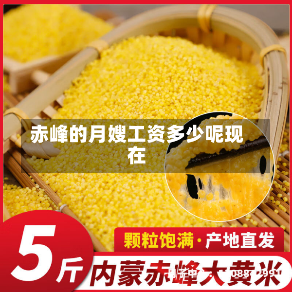 赤峰的月嫂工资多少呢现在