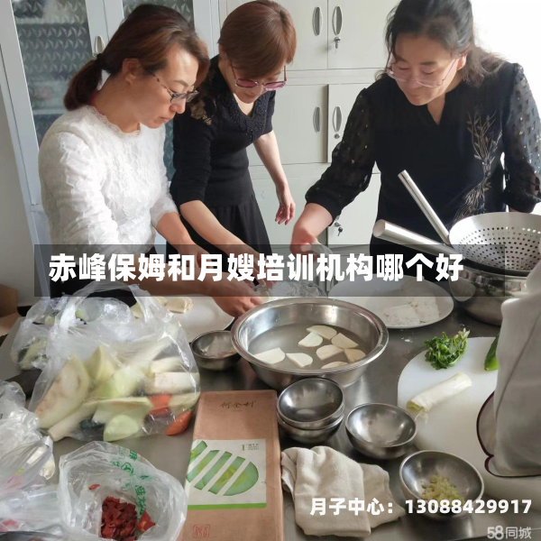 赤峰保姆和月嫂培训机构哪个好