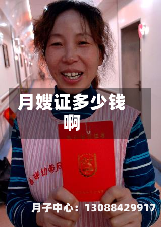 月嫂证多少钱啊