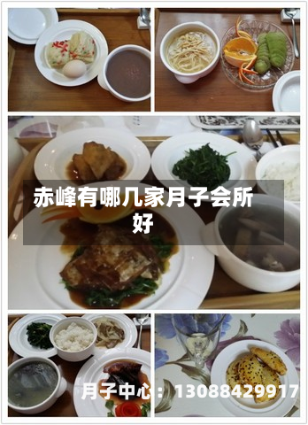 赤峰有哪几家月子会所好