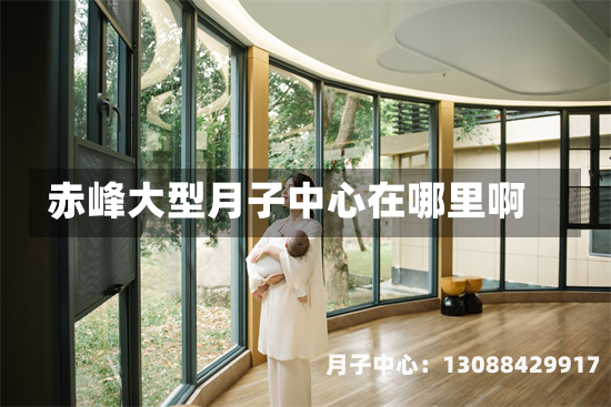 赤峰大型月子中心在哪里啊
