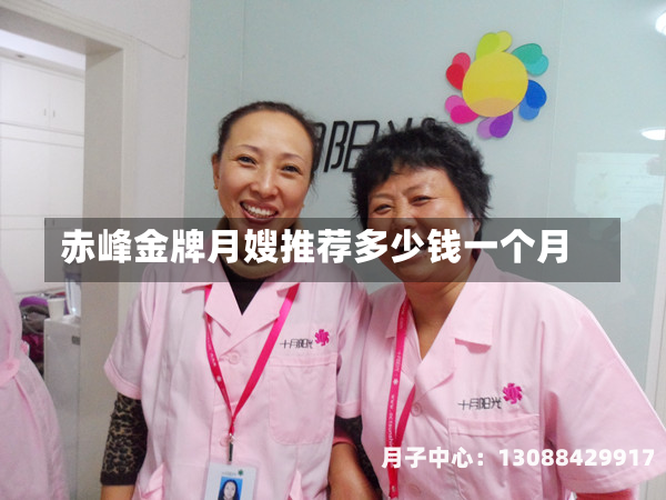 赤峰金牌月嫂推荐多少钱一个月