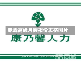 赤峰高级月嫂报价表格图片