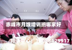 赤峰市月嫂培训班哪家好