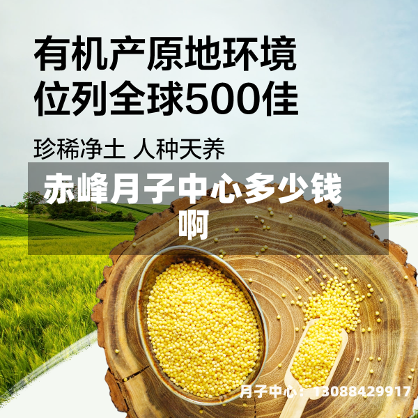 赤峰月子中心多少钱啊