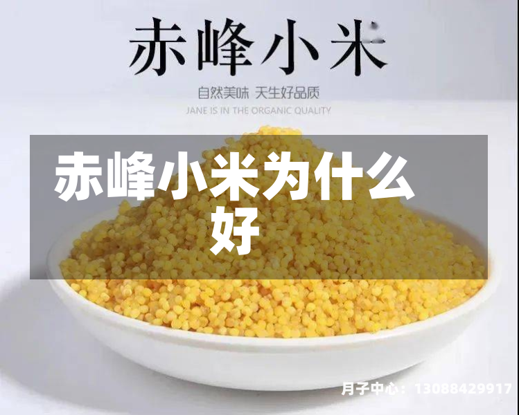 赤峰小米为什么好