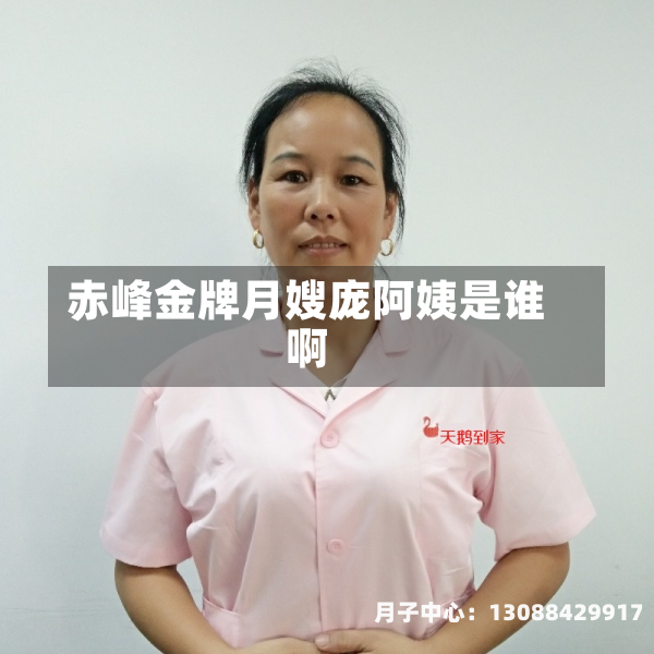 赤峰金牌月嫂庞阿姨是谁啊