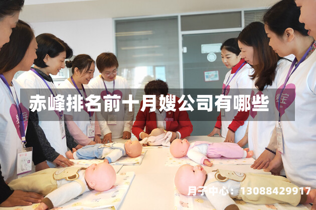 赤峰排名前十月嫂公司有哪些