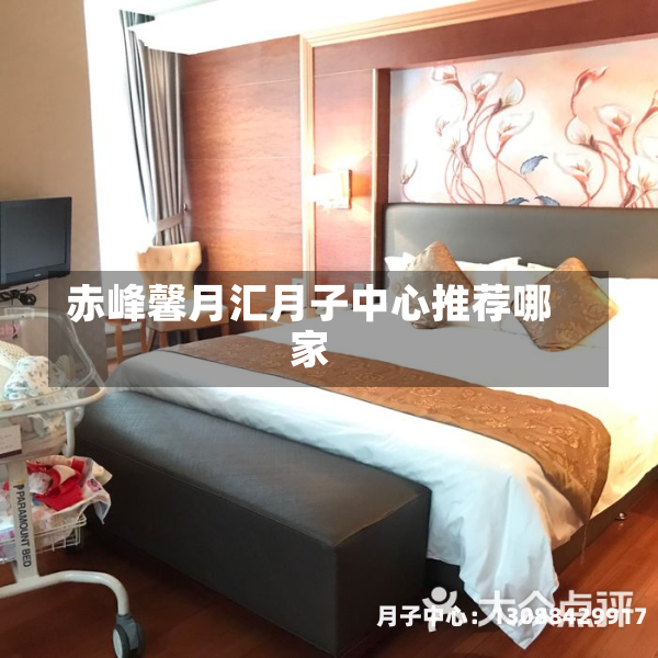 赤峰馨月汇月子中心推荐哪家
