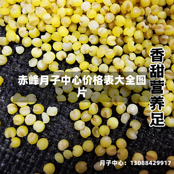 赤峰月子中心价格表大全图片
