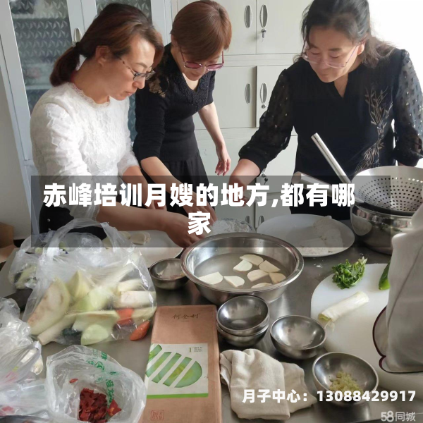 赤峰培训月嫂的地方,都有哪家
