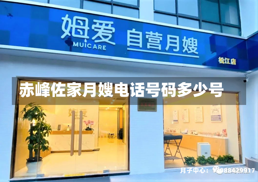 赤峰佐家月嫂电话号码多少号