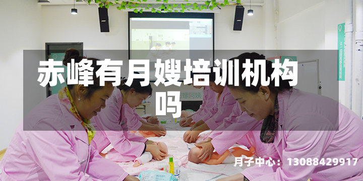 赤峰有月嫂培训机构吗