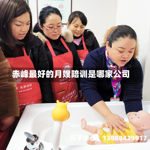 赤峰最好的月嫂陪训是哪家公司