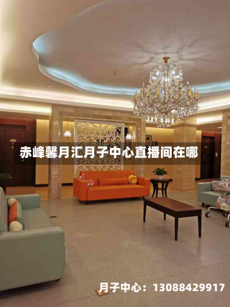 赤峰馨月汇月子中心直播间在哪