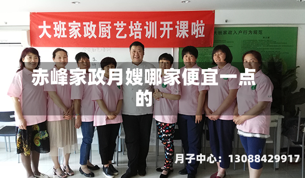赤峰家政月嫂哪家便宜一点的