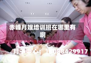 赤峰月嫂培训班在哪里有啊