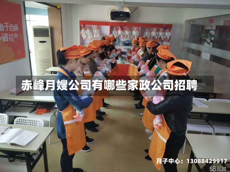 赤峰月嫂公司有哪些家政公司招聘