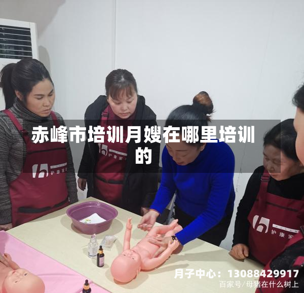 赤峰市培训月嫂在哪里培训的