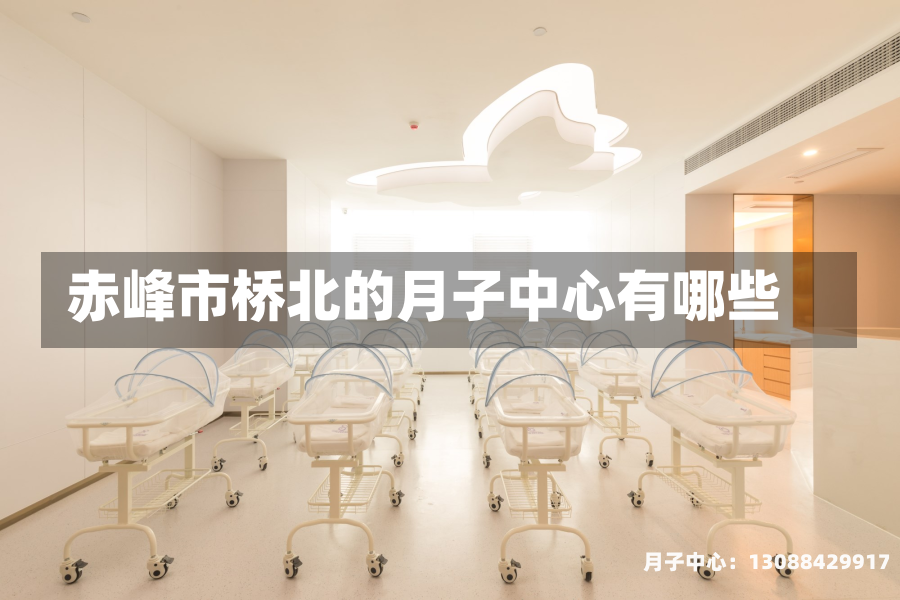 赤峰市桥北的月子中心有哪些