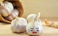 婴儿能吃大蒜吗