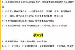 几个月开始做胎教合适