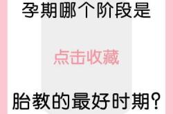 怀孕几个月可以开始胎教