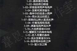 胎教经典歌曲有哪些