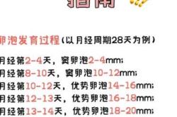 促卵泡素高备孕怎么处理