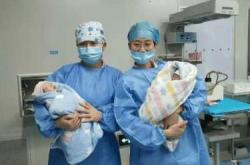 双胞胎婴儿图片有啥特别之处