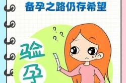 每次备孕月经来都失望怎么办