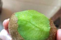 婴儿能不能吃猕猴桃