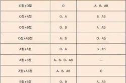 婴儿的血型如何确定
