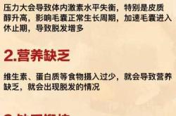 产后吃什么防脱发