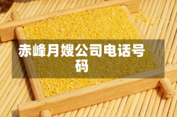赤峰月嫂公司电话号码